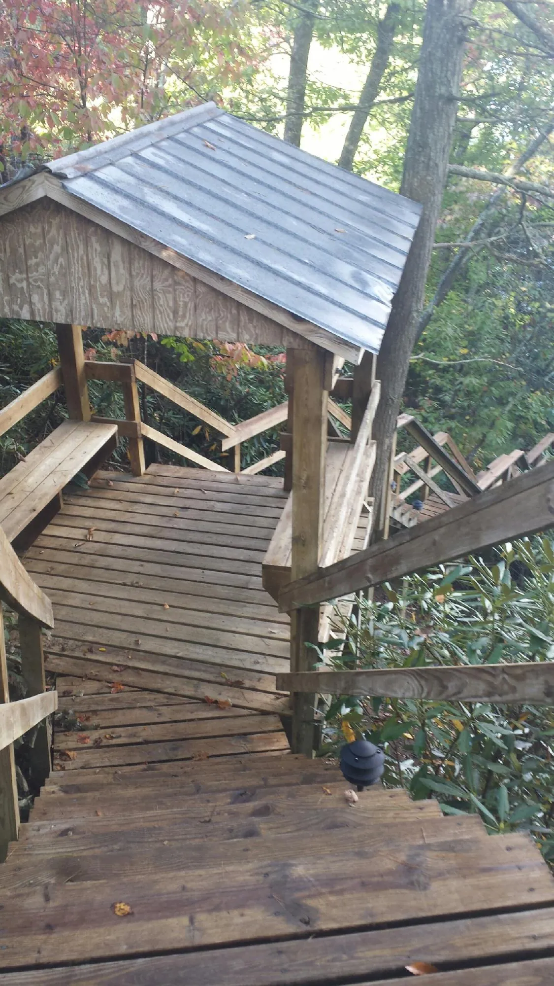 Metal roofed shelter over wooden steps on a wooded walkway — Skylight Repair & Installation work by our crew in Shingletown