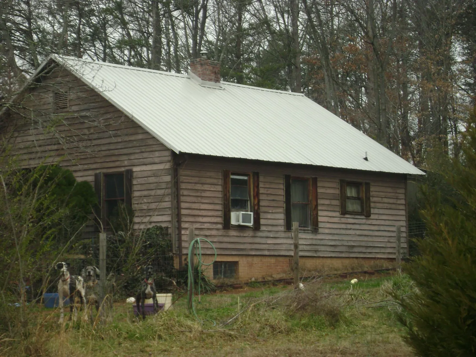 White metal roof on an old wood sided farmhouse, from a Metal Roof Installation job in Shingletown